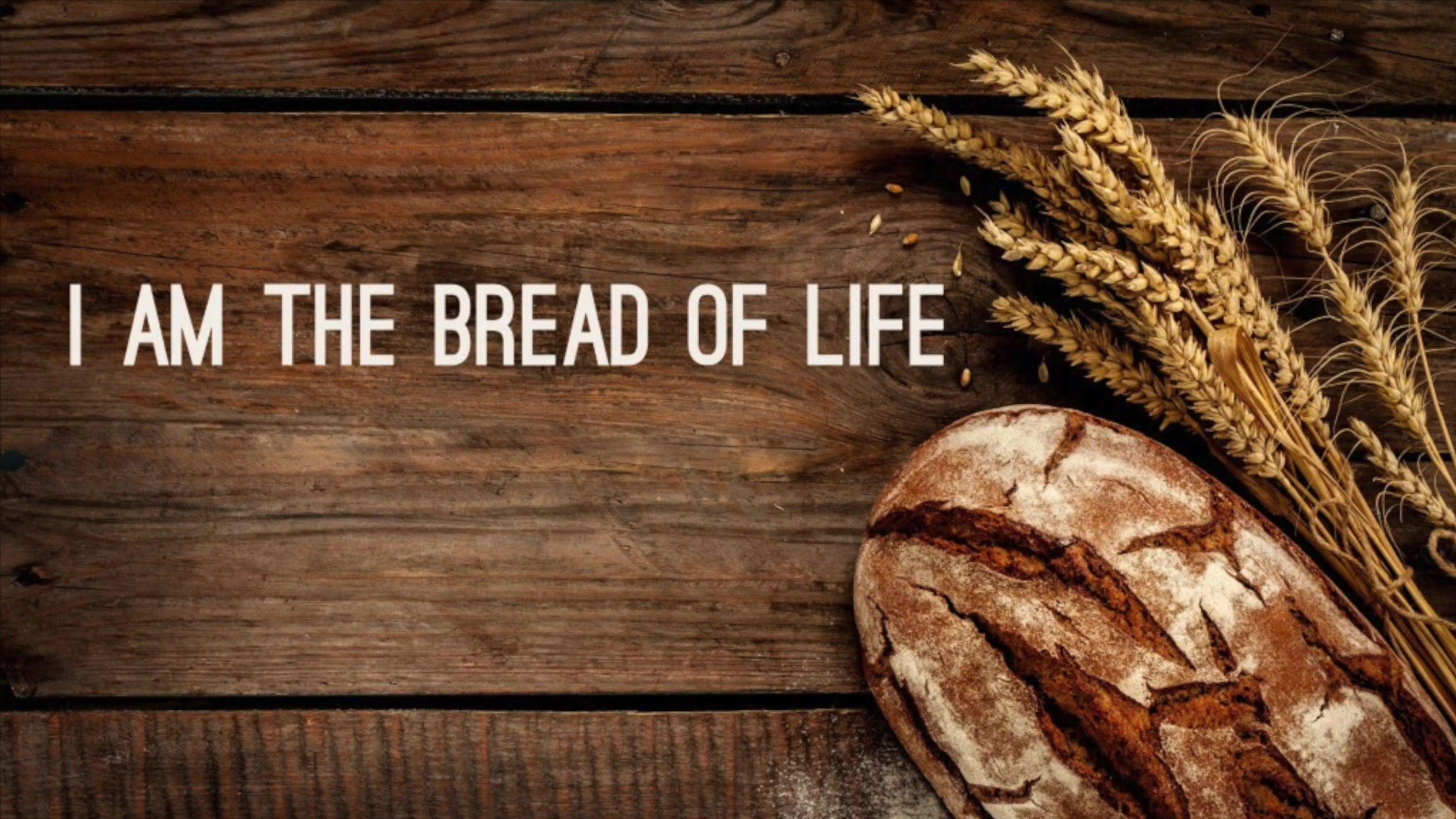 Bread of Life Part 2